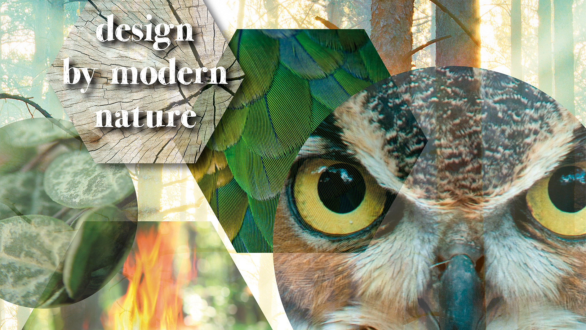 2016: "design by modern nature" by 2dezign