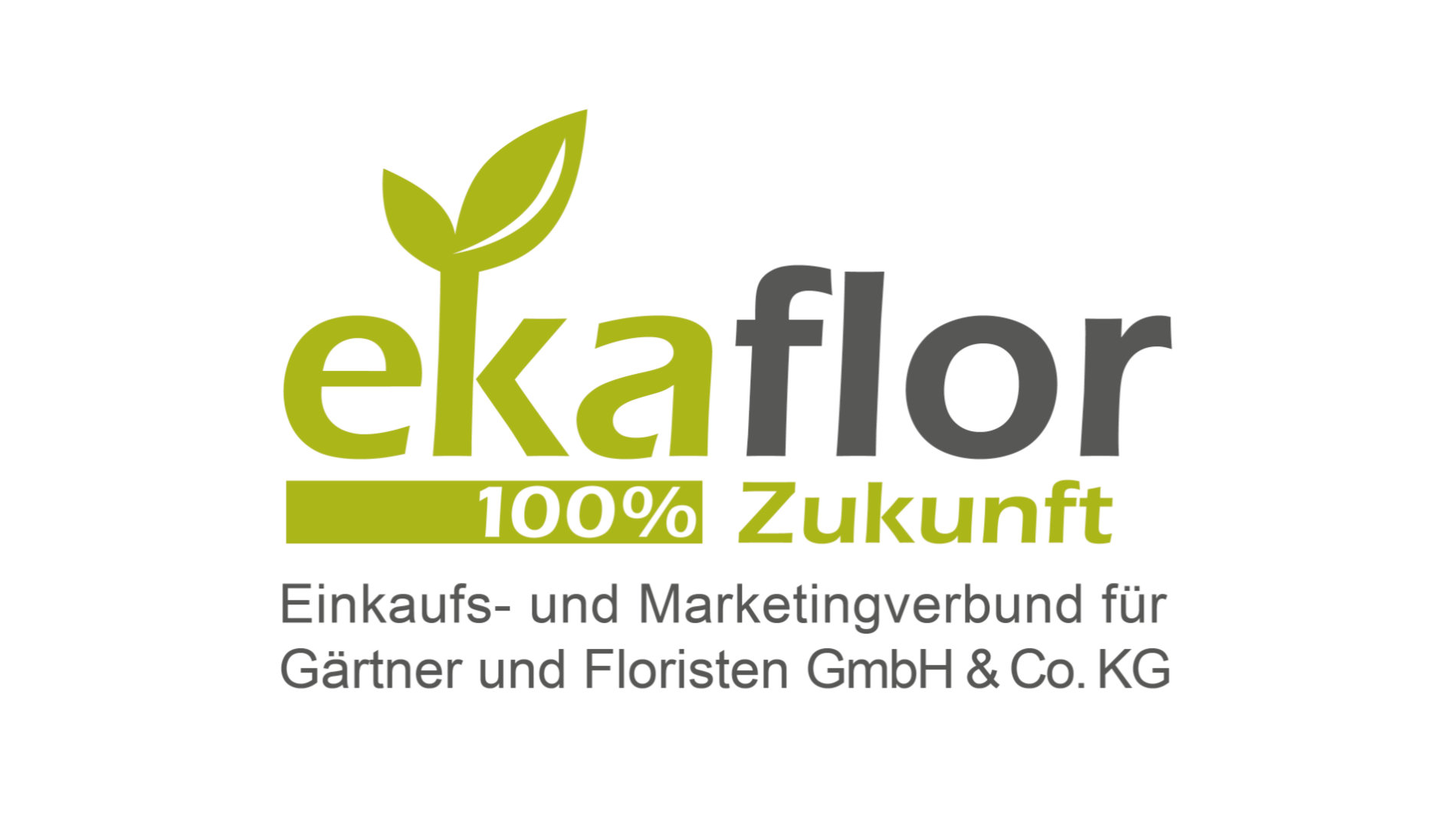 ekaflor Logo