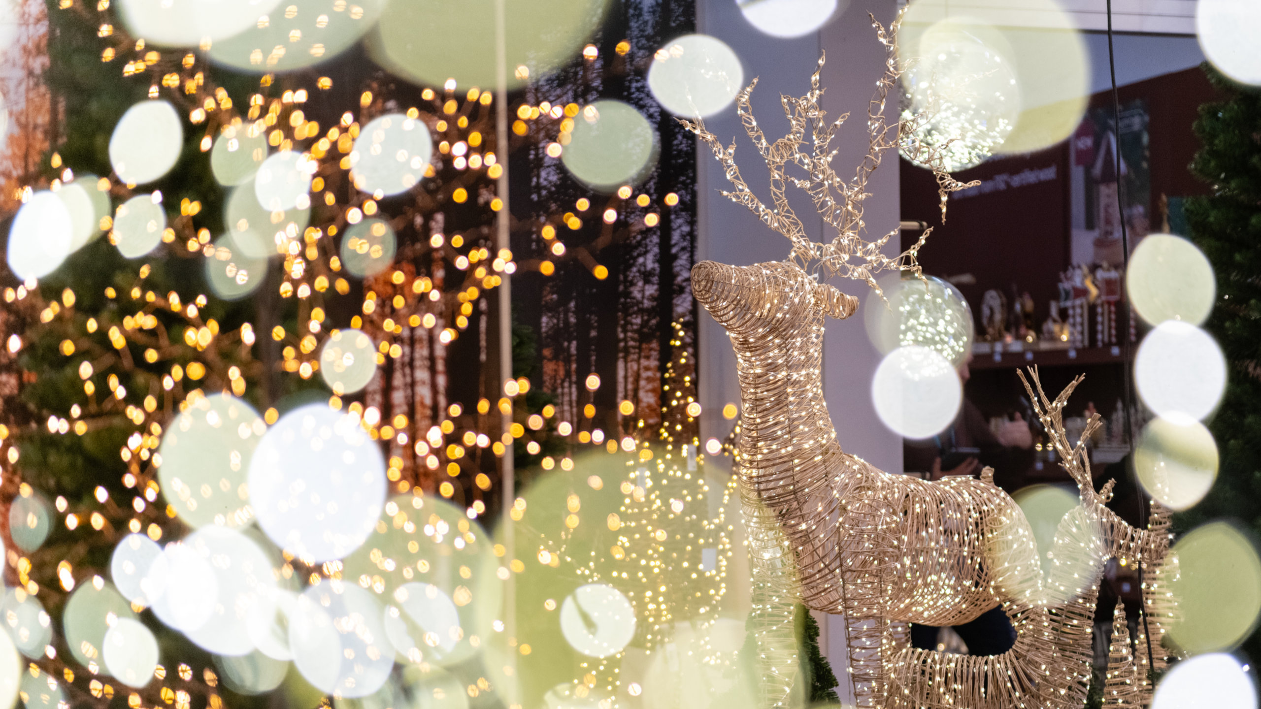 Reindeer decoration with lights at Christmasworld