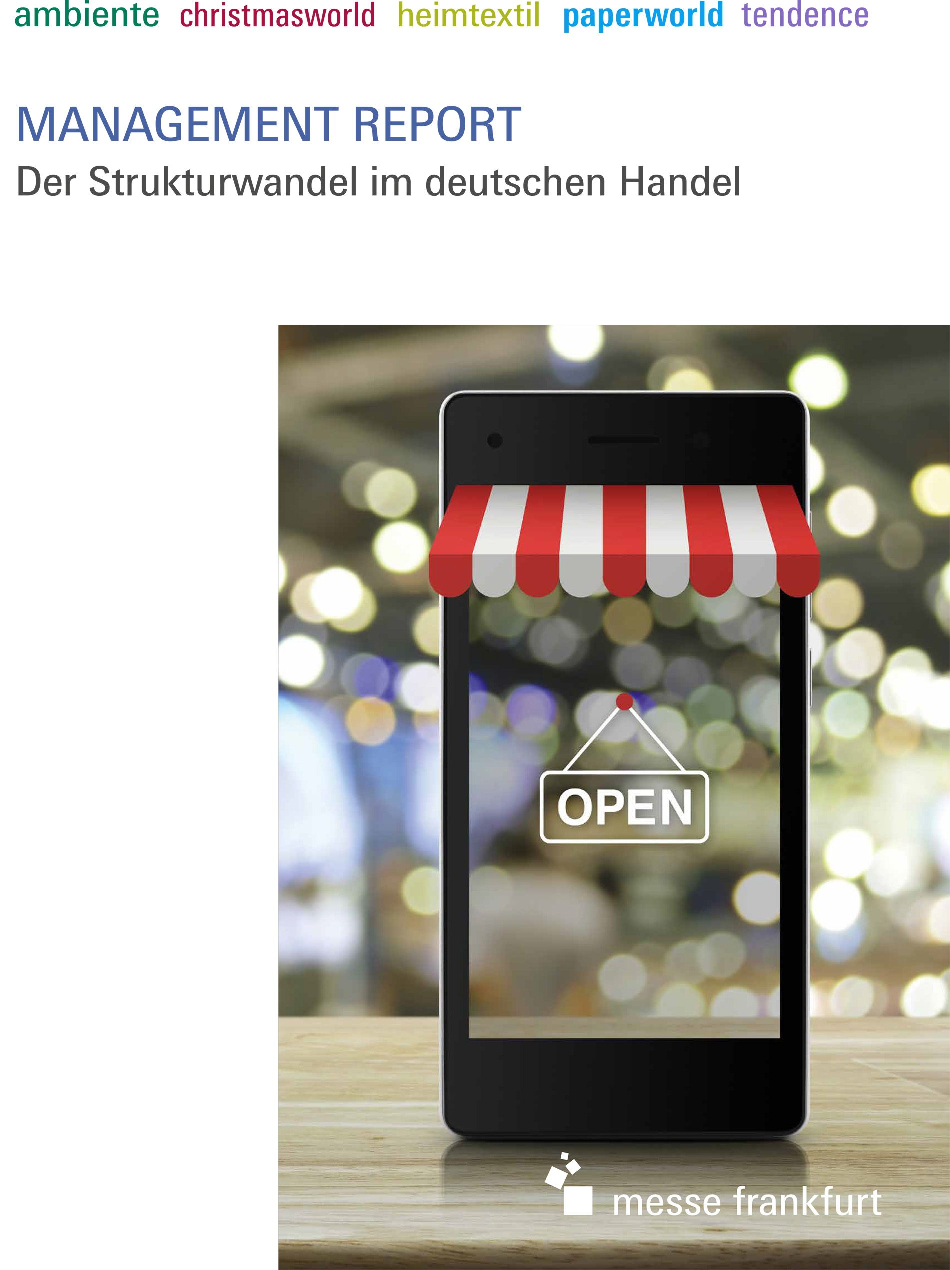 Management Report (Der Strukturwandel im deutschen Handel) Cover
